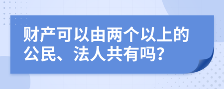 财产可以由两个以上的公民、法人共有吗？