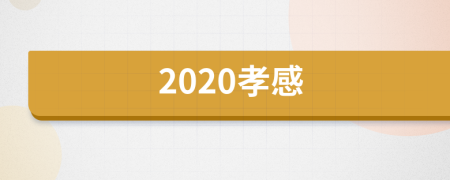 2020孝感