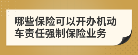 哪些保险可以开办机动车责任强制保险业务