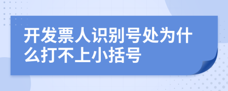开发票人识别号处为什么打不上小括号