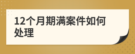 12个月期满案件如何处理