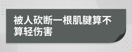 被人砍断一根肌腱算不算轻伤害