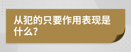 从犯的只要作用表现是什么？