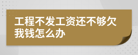 工程不发工资还不够欠我钱怎么办