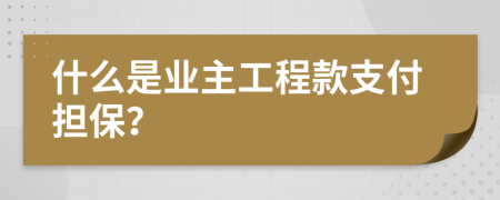 什么是业主工程款支付担保？