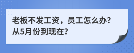 老板不发工资，员工怎么办？从5月份到现在？