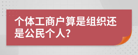 个体工商户算是组织还是公民个人？