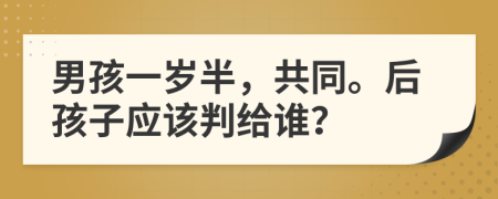 男孩一岁半，共同。后孩子应该判给谁？