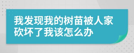 我发现我的树苗被人家砍坏了我该怎么办