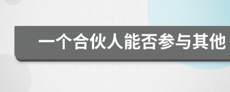 一个合伙人能否参与其他