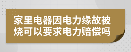 家里电器因电力缘故被烧可以要求电力赔偿吗