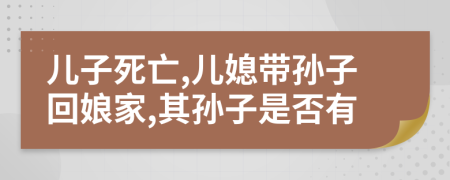 儿子死亡,儿媳带孙子回娘家,其孙子是否有