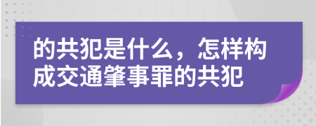 的共犯是什么，怎样构成交通肇事罪的共犯