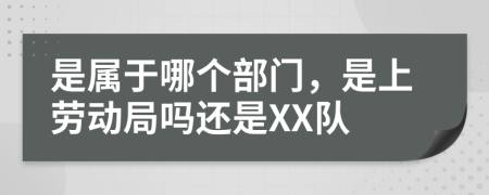 是属于哪个部门，是上劳动局吗还是XX队