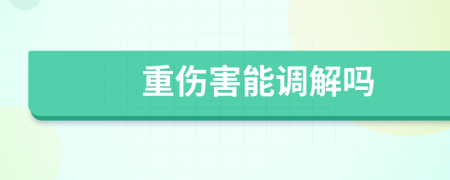 重伤害能调解吗