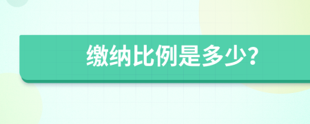 缴纳比例是多少？