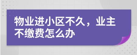 物业进小区不久，业主不缴费怎么办