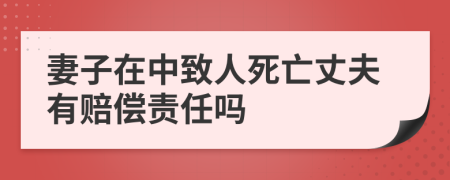 妻子在中致人死亡丈夫有赔偿责任吗