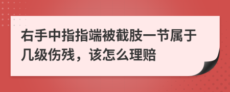 右手中指指端被截肢一节属于几级伤残，该怎么理赔