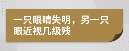 一只眼睛失明，另一只眼近视几级残