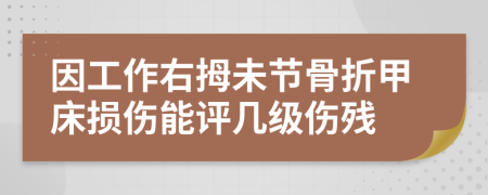 因工作右拇未节骨折甲床损伤能评几级伤残