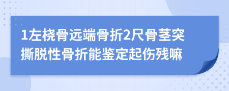 1左桡骨远端骨折2尺骨茎突撕脱性骨折能鉴定起伤残嘛