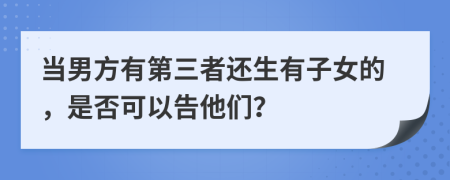 当男方有第三者还生有子女的，是否可以告他们？