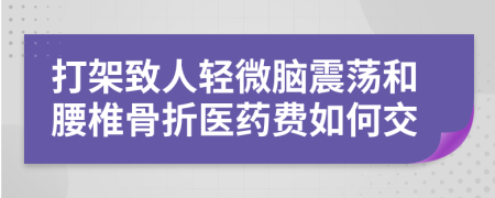 打架致人轻微脑震荡和腰椎骨折医药费如何交