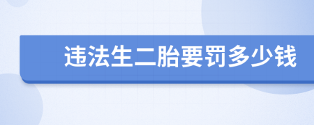 违法生二胎要罚多少钱