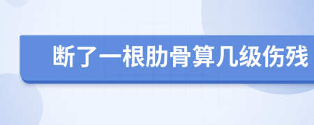 断了一根肋骨算几级伤残