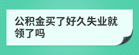 公积金买了好久失业就领了吗