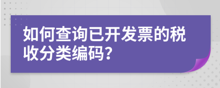 如何查询已开发票的税收分类编码？