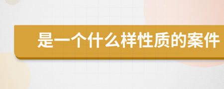 是一个什么样性质的案件