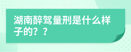 湖南醉驾量刑是什么样子的？？