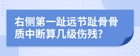 右侧第一趾远节趾骨骨质中断算几级伤残?