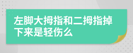 左脚大拇指和二拇指掉下来是轻伤么