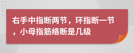 右手中指断两节，环指断一节，小母指筋络断是几级