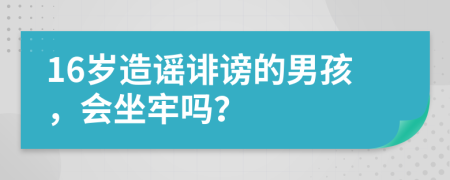 16岁造谣诽谤的男孩，会坐牢吗？