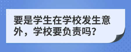 要是学生在学校发生意外，学校要负责吗？