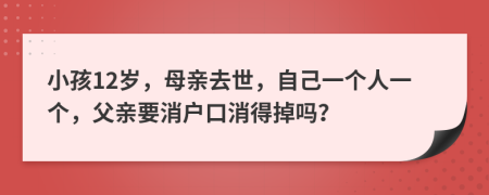 小孩12岁，母亲去世，自己一个人一个，父亲要消户口消得掉吗？