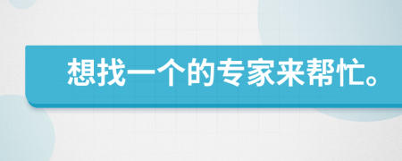 想找一个的专家来帮忙。
