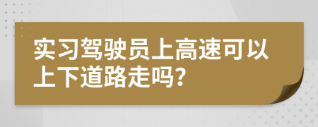 实习驾驶员上高速可以上下道路走吗？