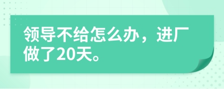 领导不给怎么办，进厂做了20天。