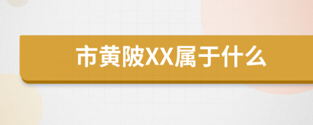 市黄陂XX属于什么