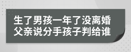 生了男孩一年了没离婚父亲说分手孩子判给谁