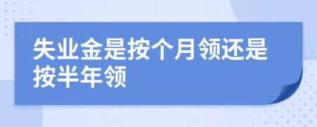 失业金是按个月领还是按半年领