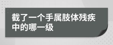 截了一个手属肢体残疾中的哪一级