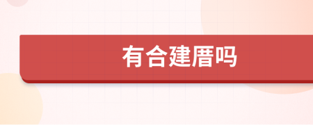 有合建厝吗