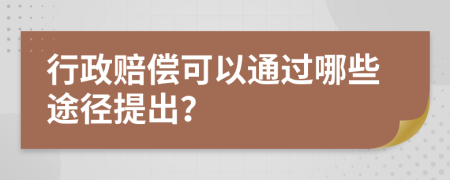 行政赔偿可以通过哪些途径提出？