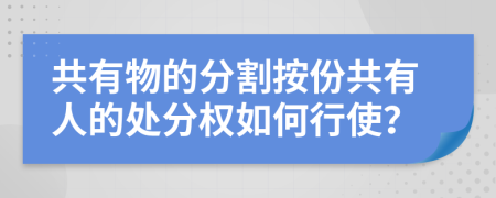 共有物的分割按份共有人的处分权如何行使？